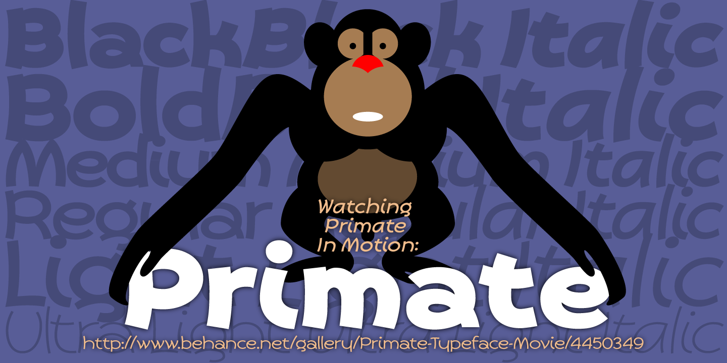 Primate